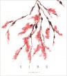 Vibe / 『AFTERGLOW+』1集リパケ(再発売)|歌手　