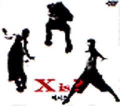 X is / 1ᤷǲ򸫤ʤ(1995)