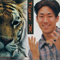 Tiger JK / 1�� - Enter the Tiger (90's)