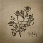 V.A / 2011 �ȥ��륰�å��� Remake