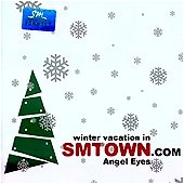 VA / �� WiNTER VACATiON iN SMTOWN.COM��Angel Eyes��(2001)