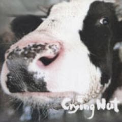 Crying Nut / ��OK�Ҿ��������5���١ʺ�ȯOPC�ס�