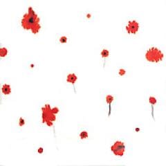 LUCID FALL / 3���ع񶭤����