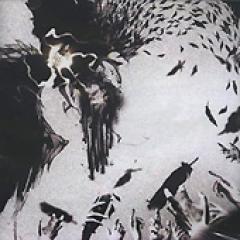 PIA / ��BECOME CLEAR��