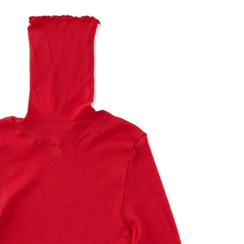 åȥ󥫥ߥ ȥͥå󥰥꡼T