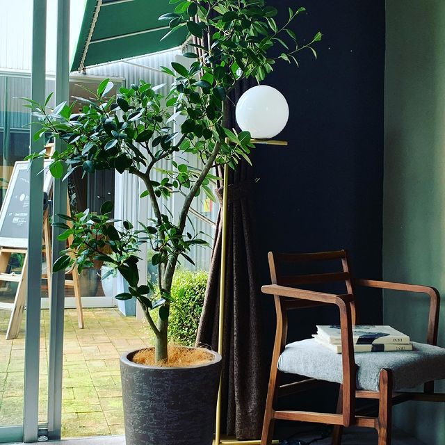 アームチェア Y HOPE