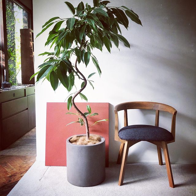 アームチェア アンバー PURO ｜source公式オンラインショップ