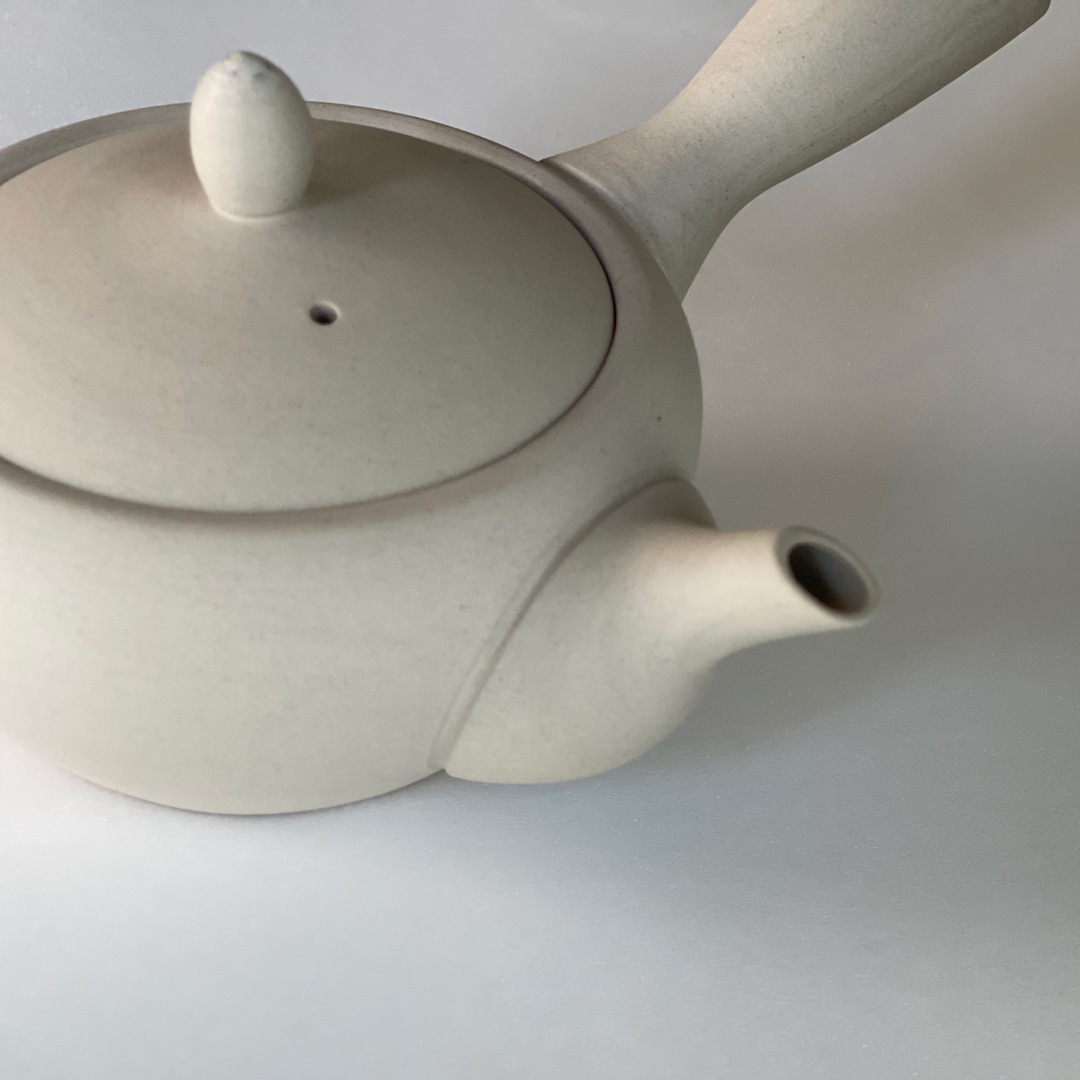 【南景製陶園】急須（底網）鉄鉢 240㏄