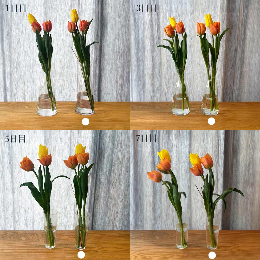 COPPER 抗菌 フラワースティック