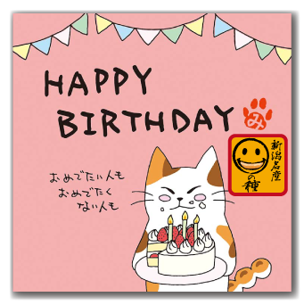 【柿の種＆プチドットチョコ】　HAPPY BIRTHDAY　ネコ　10個セット