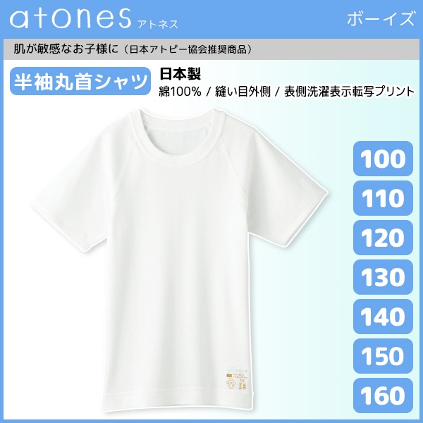 ˥ atones ȥͥ ȾµݼT 100cm160cmޤ  GUNZE 100% [GY56550-80]