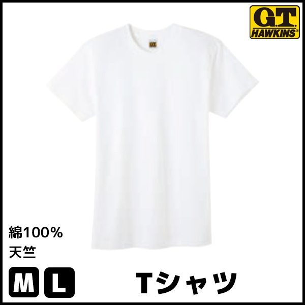 G.T.HAWKINS �ۡ����� T����� Ⱦµ�ݼ� ���� GUNZE[HK1013B]