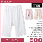 Ŭ˼ ʬѥƥ 100%   GUNZE[KQ3066]