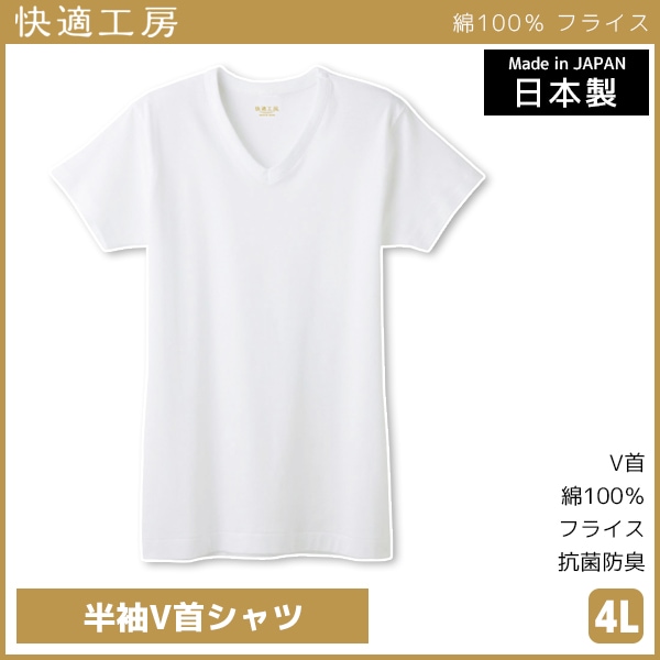 ��Ŭ��˼ ȾµV�󥷥�� 4L������ ������ ����ʡ� ȩ�� ���� GUNZE[KQ5015-4L]