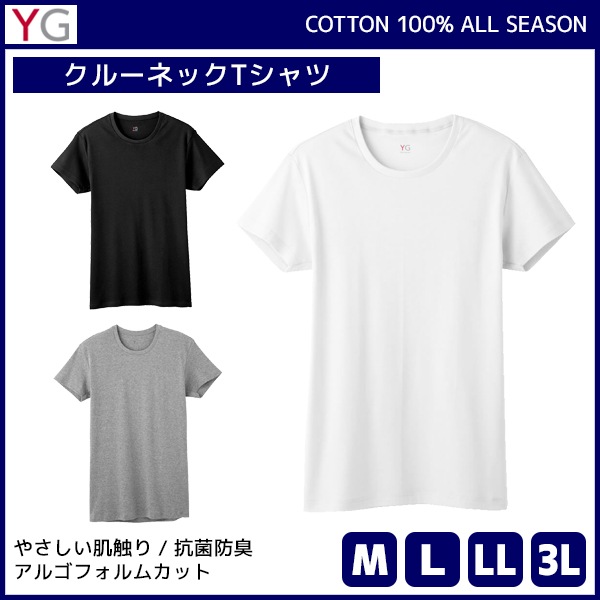 YG �磻���� COTTON100% ���롼�ͥå�T����� Ⱦµ�ݼ� ���� GUNZE[YVP013A]
