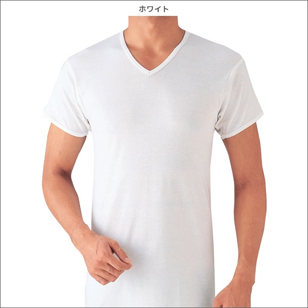 GQ-1 ベーシック 半袖V首 Tシャツ 肌着 綿100% グンゼ GUNZE[GQA315