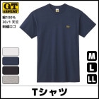 G.T.HAWKINS �ۡ����� T����� ȩ�ˤ䤵���� ��100% ���� GUNZE [HK2113B]