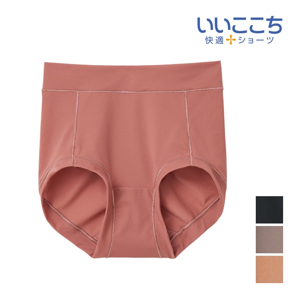 いいここち 快適ショーツ hadaka レギュラーショーツ シアー