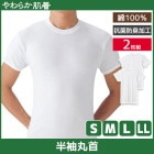 ���餫ȩ�� Ⱦµ�ݼ󥷥�� 2���� ���롼�ͥå� T����� ���� GUNZE [SV61142]