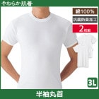 ���餫ȩ�� Ⱦµ�ݼ󥷥�� 2���� 3L������ ���롼�ͥå� T����� ���� GUNZE [SV61142-3L]