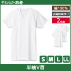 ���餫ȩ�� ȾµV�󥷥�� 2���� V�ͥå� T����� ���� GUNZE[SV61152]