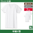 ���餫ȩ�� ȾµV�󥷥�� 2���� 3L������ V�ͥå� T����� ���� GUNZE[SV61152-3L]