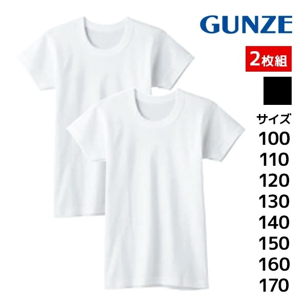 Ҷȩ Ⱦµݼ󥷥 2 ˻ʡ Ҷ å  GUNZE[BF6550C-85C]