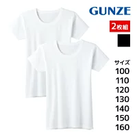 �Ҷ�ȩ�� �ߤ������� Ⱦµ�ݼ󥷥�� 2���� �˻�����ʡ� �Ҷ����� ���å� ���� GUNZE [BF6850C-80C]