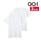 GQ-1 �䴶�ե饤�� ȾµV�� ����ʡ� T����� 2���� ���� GUNZE[GQS515G]
