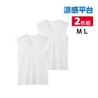 �ô�ʿ�� �����ɽ� ®���ե饤�� V�󥹥꡼�֥쥹����� ����ʡ� 2���� ���� GUNZE[RC2418D]