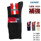 GUNZE ��󥺥��å��� ���� ���� ���� GUNZE[FE0251]
