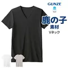 �����ɥ��� ���λ�  V�ͥå�T����� ���� ���� GUNZE [MCA715R]