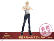 �֥�����ɥޥ��ҡ���������������롼�ॹ�ƥå��������蹨��