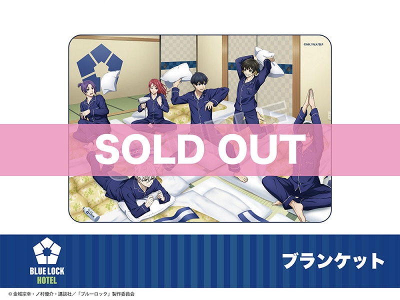 �֥֥롼���å��ץۥƥ륳��ܡ��֥�󥱥å�