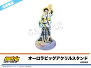 在庫】「弱虫ペダル LIMIT BREAK」ホテルコラボ第2弾 オーロラビッグ