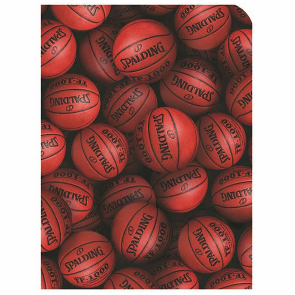 クリアファイル A4サイズ 2枚入り ブラウンボール 15-007BR