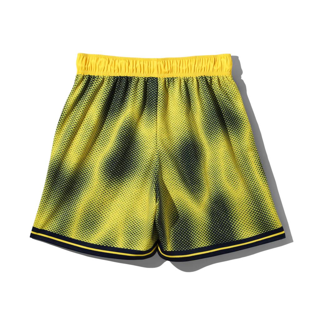 【7/3(金)発売】ジャージーショーツ ミシガン ハーフトーン SMP26133M【2カラー展開】