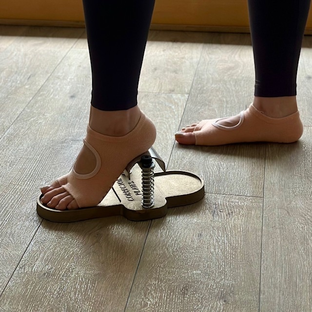 PILATES FOOT CORRECTOR ピラティスフットコレクター | ピラティス