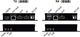 HDMI KVM��Ĺ�� PKM4060-TR ����60m