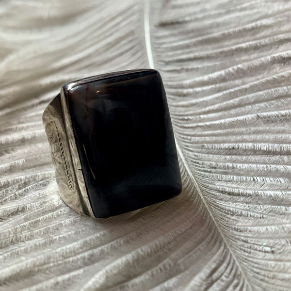  PetrifieWood Silver Men's Ring�ʥڥȥ�ե����ɥ��å� ����С���󥺥�󥰡�