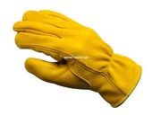 NAPA GLOVE 800SP�ʥʥ� ��������800SP��GOLD