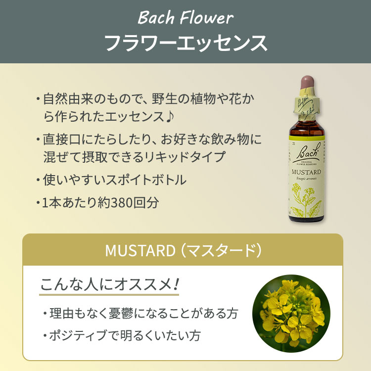 ネルソンバッチ バッチオリジナルフラワー レメディ マスタード 20ml (0.7floz) Nelson Bach Original