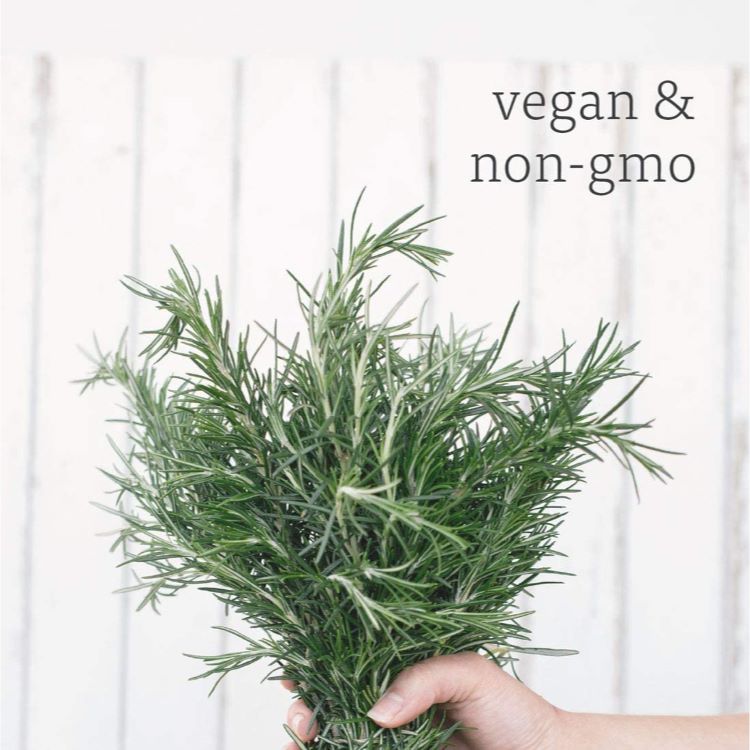 ナウフーズ エッセンシャルオイル ローズマリー 118ml (4floz) NOW Foods Rosemary Oil アロマ 精油