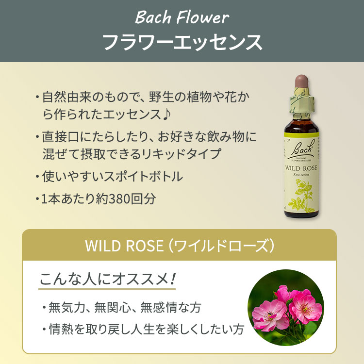 ネルソンバッチ バッチオリジナルフラワー レメディ ワイルドローズ 20ml (0.7floz) Nelson Bach Original
