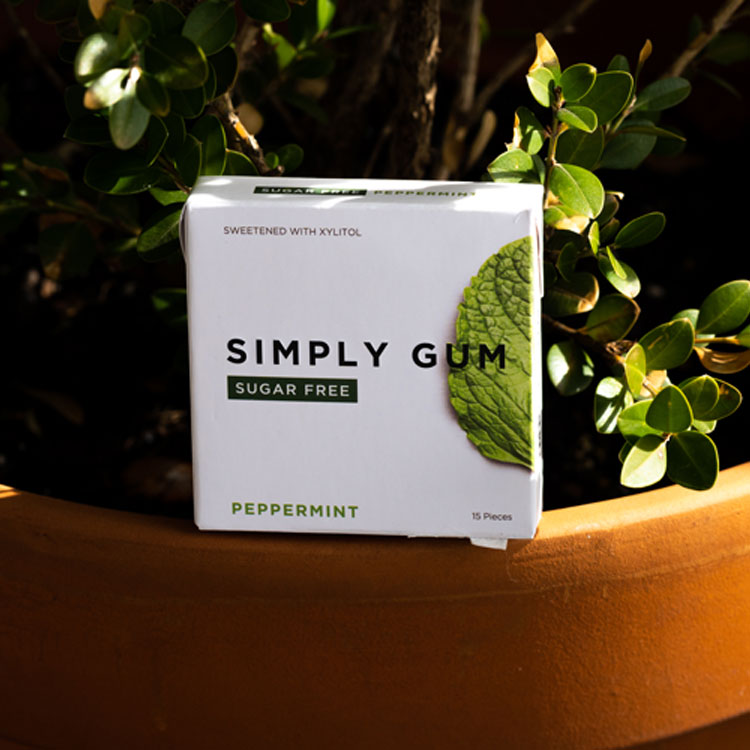 シンプリーガム シュガーフリーガム チューインガム ペパーミント味 15