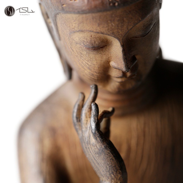 ������� ������ʩ���ե����奢 TanaCOCORO[��]