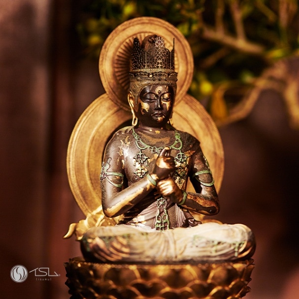 ����ǡ���� ������ʩ���ե����奢 TanaCOCORO[��]