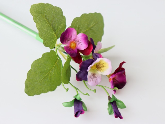 bonboog �ܥ��˥���ڥ� �ѥ󥸡� �� �ѡ��ץ� ��