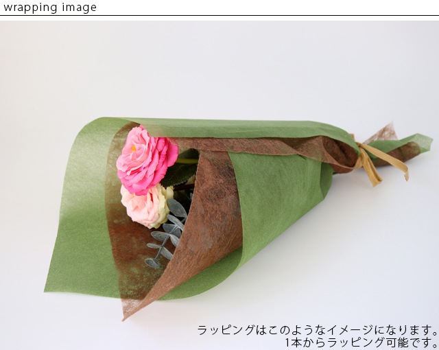 bonboog �ܥ��˥���ڥ� �ѥ󥸡� �� �ѡ��ץ� ��