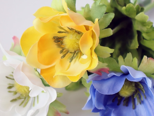 bonboog �ܥ��˥���ڥ󡡥��ͥ�ͥڥ�